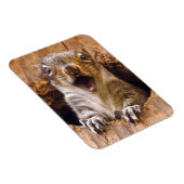 Schoenen eekhoorn magneet (Rechterzijde)