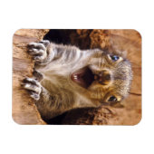 Schoenen eekhoorn magneet (Horizontaal)