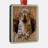 Schoenen eekhoorn metalen ornament (Rechts)