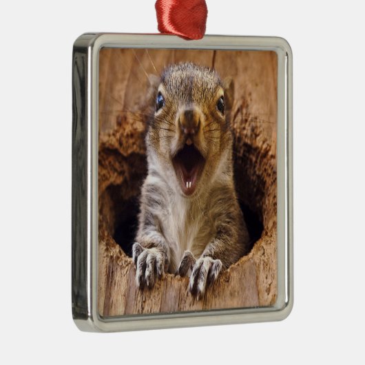 Schoenen eekhoorn metalen ornament (Rechts)