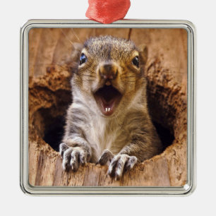 Schoenen eekhoorn metalen ornament