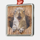 Schoenen eekhoorn metalen ornament (Links)