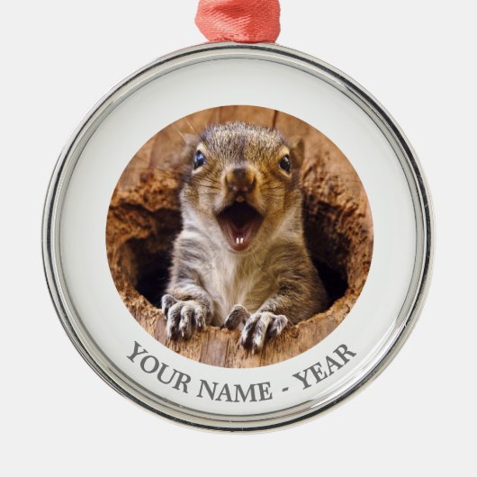 Schoenen eekhoorn metalen ornament (Voorkant)