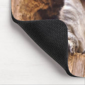 Schoenen eekhoorn muismat (Hoek)