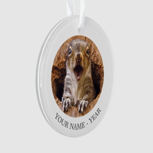 Schoenen eekhoorn ornament (voorkant)