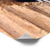 Schoenen eekhoorn poster (Hoek)