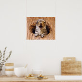 Schoenen eekhoorn poster (Keuken)