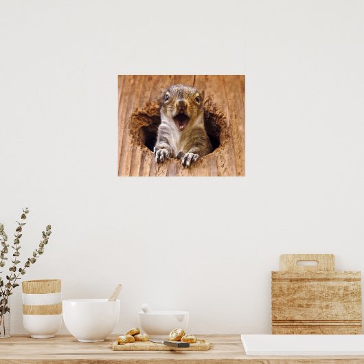 Schoenen eekhoorn poster (Keuken)