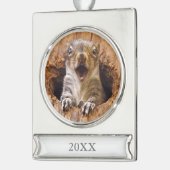 Schoenen eekhoorn verzilverd banner ornament (Links)