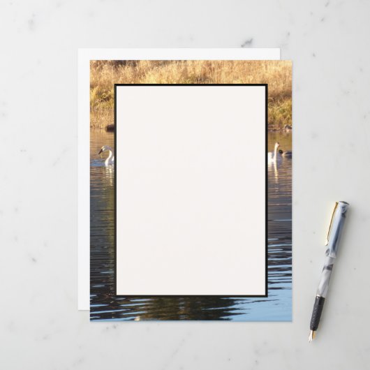 Schoenen voor eenden (Voorkant / Achterkant in situ)