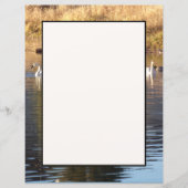 Schoenen voor eenden (Voorkant)