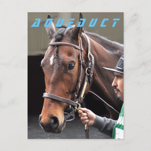 Schoenhoezen - Winner Briefkaart (Voorkant)