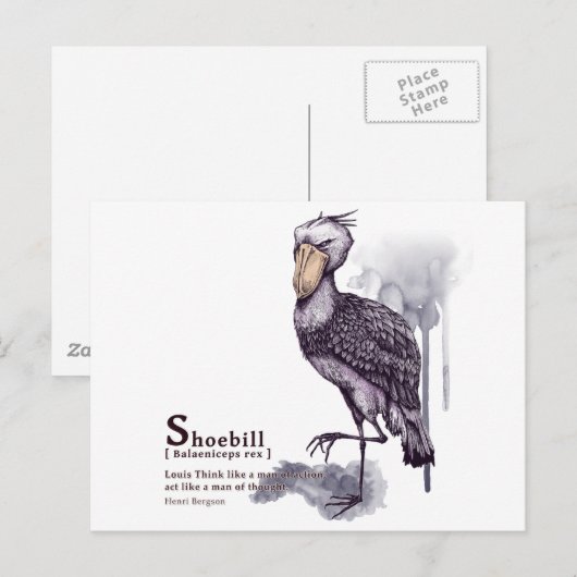 schoenpootje briefkaart (Voorkant / Achterkant)