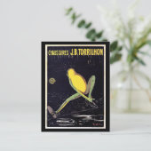  schoenreclame briefkaart (Staand voorkant)