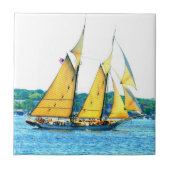 schoenzeiltegel tegeltje (Voorkant)