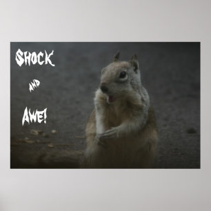 Schok en Awe! Poster