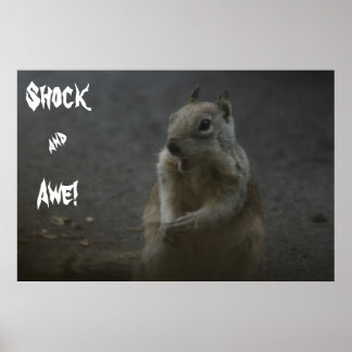 Schok en Awe! Poster