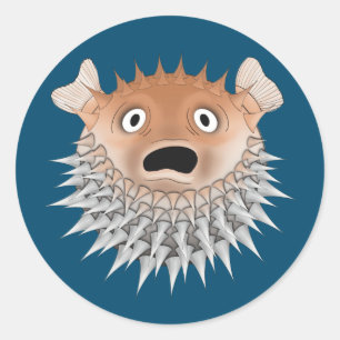 Schokbravis Ronde Sticker