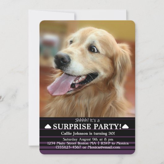 Schokte Golden Retriever Dog Surprise Party Kaart (Voorkant)