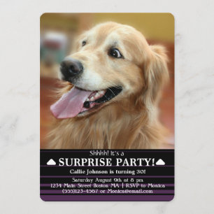 Schokte Golden Retriever Dog Surprise Party Kaart