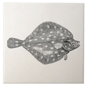  schol, platte vis, blanco, Sjabloon Tegeltje
