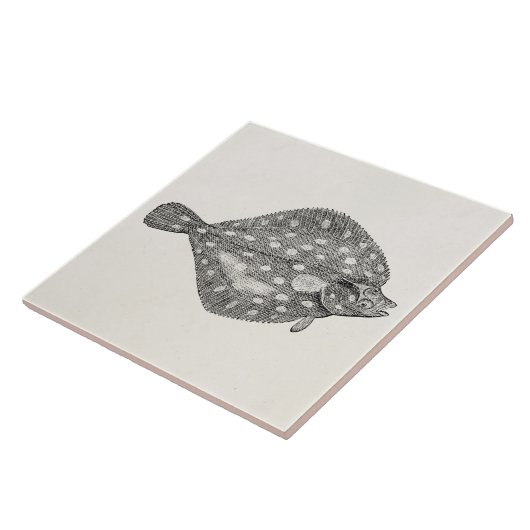  schol, platte vis, blanco, Sjabloon Tegeltje (Zijkant)