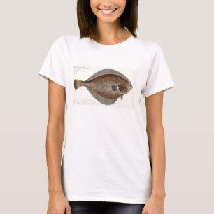 Schol (Pleuronectes Platessa) bord XLII uit 'Ic T-shirt