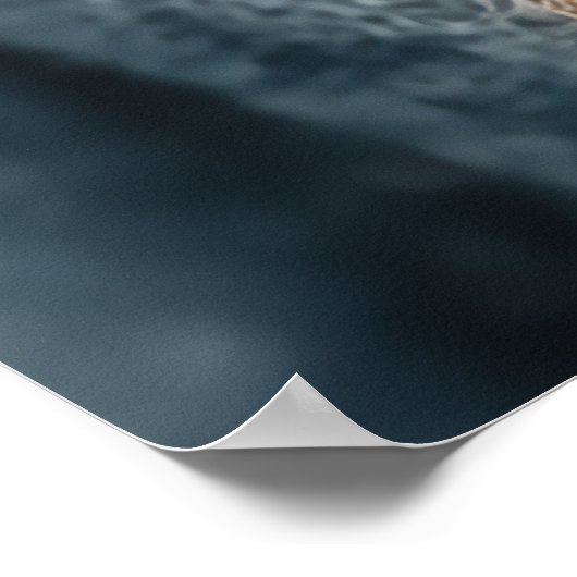 Scholarly Toad in  kleding Poster (Hoek)