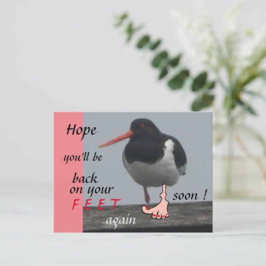 Scholekster Beterschap Humor Postkaart (Staand voorkant)