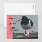 Scholekster Beterschap Humoristische Ansichtkaart Briefkaart (Voorkant / Achterkant)