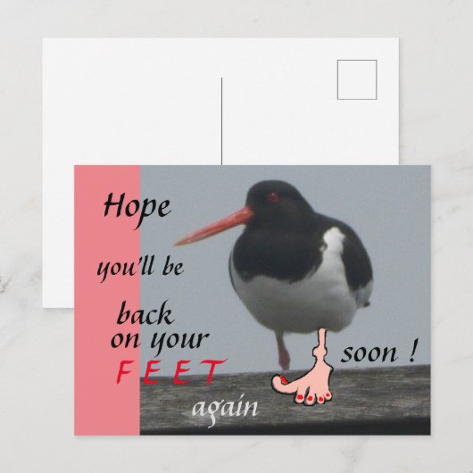 Scholekster Beterschap Humoristische Ansichtkaart Briefkaart (Voorkant / Achterkant)