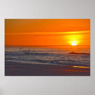 Scholeksters vliegen bij zonsopgang, Florida stran Poster