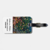 Scholen van visswim in rif bagagelabel (Achterkant horizontaal)