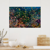 Scholen van visswim in rif poster (Keuken)