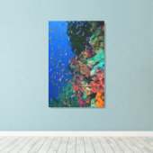 Scholende Fairy Basslets (Pseudanthias Canvas Afdruk (Insitu (Houten vloer))