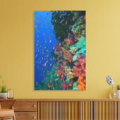 Scholende Fairy Basslets (Pseudanthias Canvas Afdruk (Insitu (Woonkamer))
