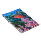 scholende Fairy Basslets  (Pseudanthias Notitieboek (Rechterzijde)
