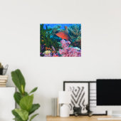 scholende Fairy Basslets  (Pseudanthias Poster (Thuiskantoor)