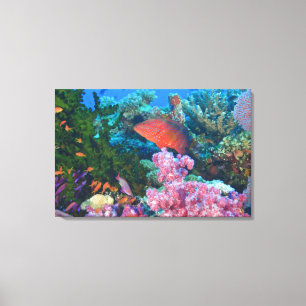 scholing Fairy Basslets (Pseudanthias Canvas Afdruk