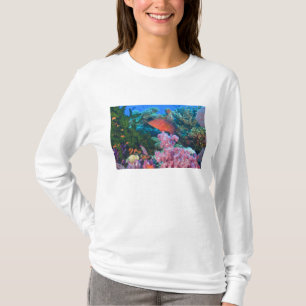 scholing Fairy Basslets  (Pseudanthias T-shirt
