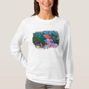 scholing Fairy Basslets  (Pseudanthias T-shirt