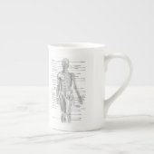 Scholing van menselijke anatomie porselein kop (Rechts)