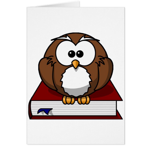 Schollast Owl (Voorkant)