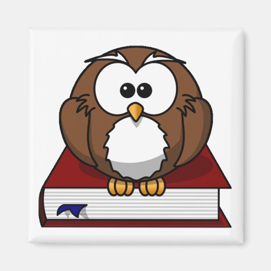 Schollast Owl Magneet (Voorkant)