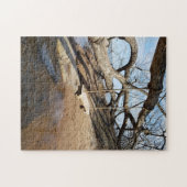 Schommel aan Lake Superior Marquette Michigan Legpuzzel (Horizontaal)