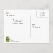 Schommelend in het zonlicht Dank je wel Briefkaart (Achterkant)