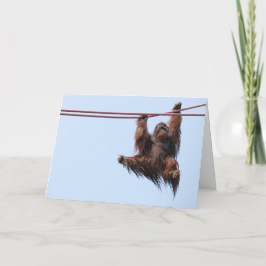 Schommeling in het Nieuwjaar Feestdagen Kaart (Voorkant)