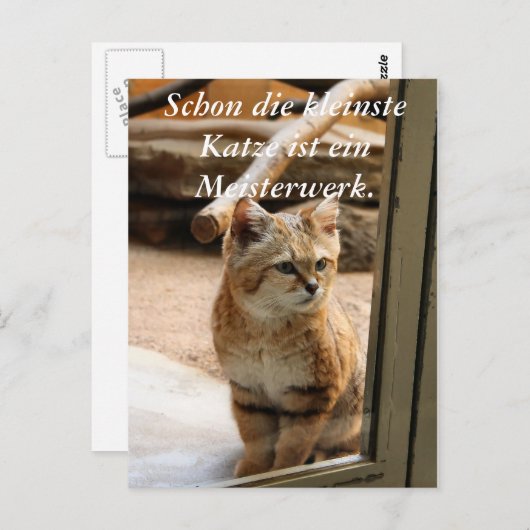 Schon die kleinste Katze ist ei.. Briefkaart (Voorkant / Achterkant)