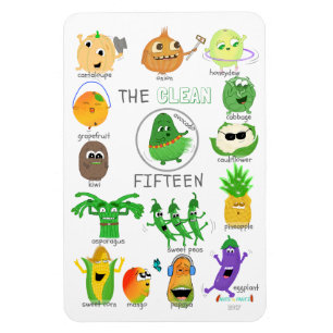 Schone 15 geïllustreerde lijst - 2017 (geëtikett magneet