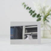 Schöne Aussicht Briefkaart (Staand voorkant)